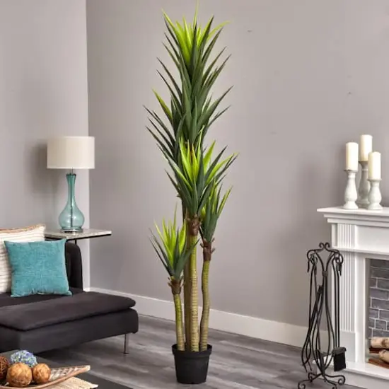 7ft. Potted Dracaena Tree {3}