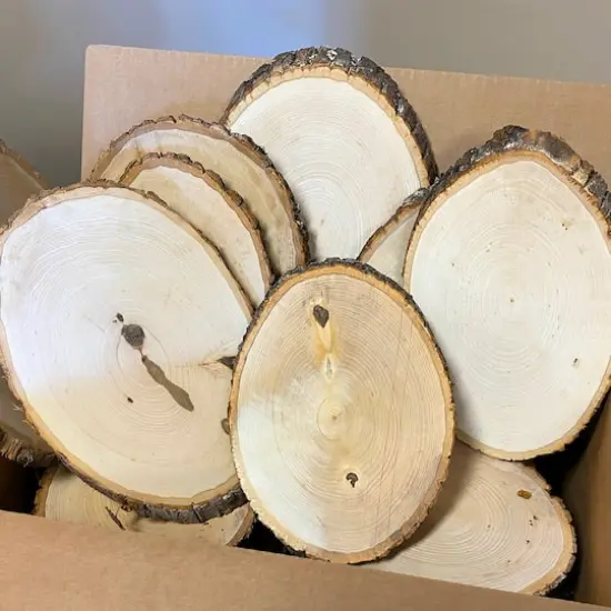 Wilson&reg; Enterprises 30 Pack Medium Basswood Plaque Seconds {1}