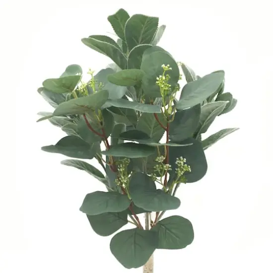 Silver Dollar & Lamb's Ear Bush by Ashland&reg; {1}