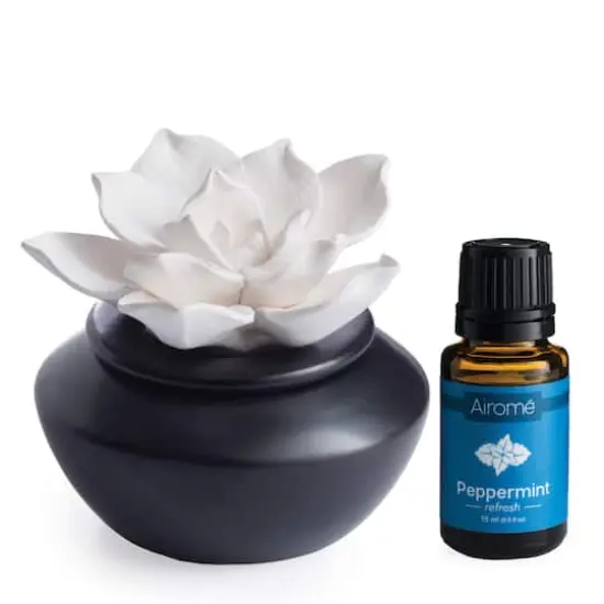 Airom&eacute; Gardenia Porcelain Passive Diffuser {1}
