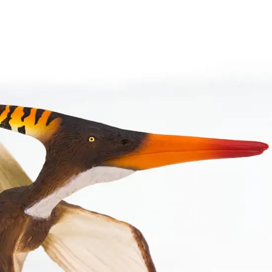 Safari Ltd&reg; Pteranodon {4}