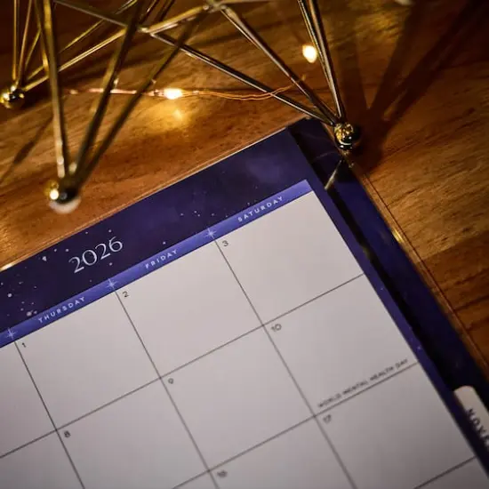 The Classic Happy Planner&reg; Star Signs {8}