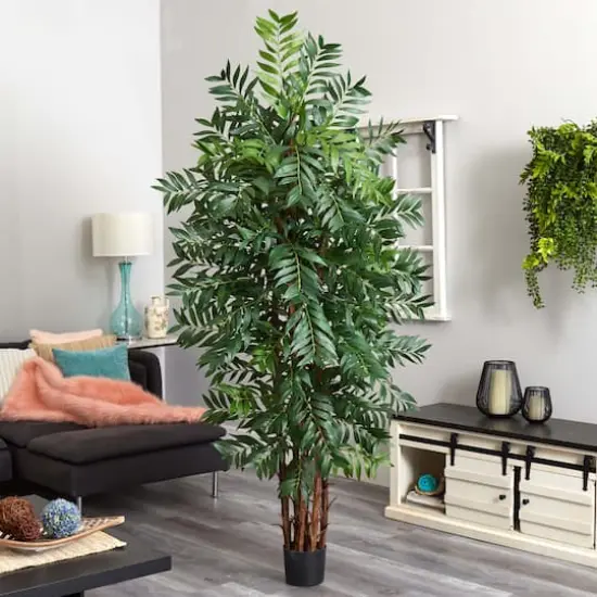 7ft. Potted Bamboo Palm Tree {6}