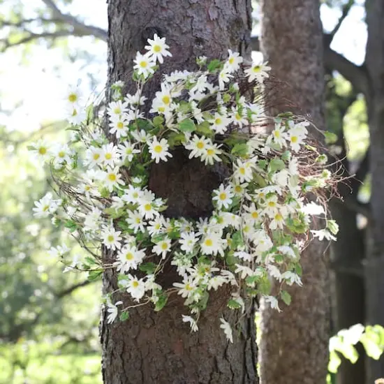 23" White Daisy Wreath {3}