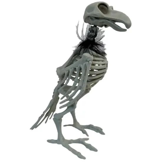 11.5" Crow Skeleton with Feathers by Ashland&reg; {4}