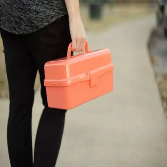 Everything Mary Coral 3-Layer Storage Box {6}