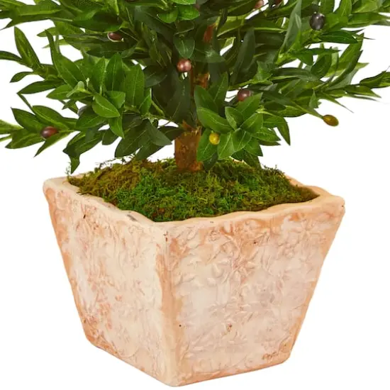3ft. UV Resistant Olive Cone Topiary Tree in Terra Cotta Planter {4}
