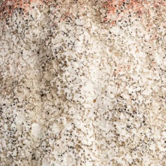 Hello Honey&reg; Cream Terra Cotta Vase with Raised Rectangle Pattern Set {12}