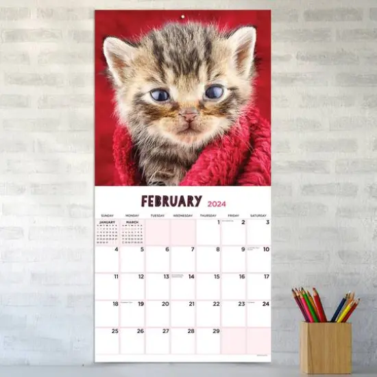 TF Publishing 2024 Kittens Wall Calendar {5}