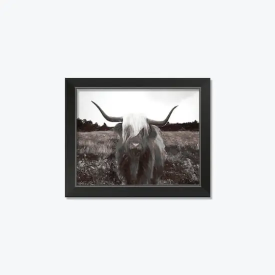Highland Cow Charcoal Black Framed Print {1}
