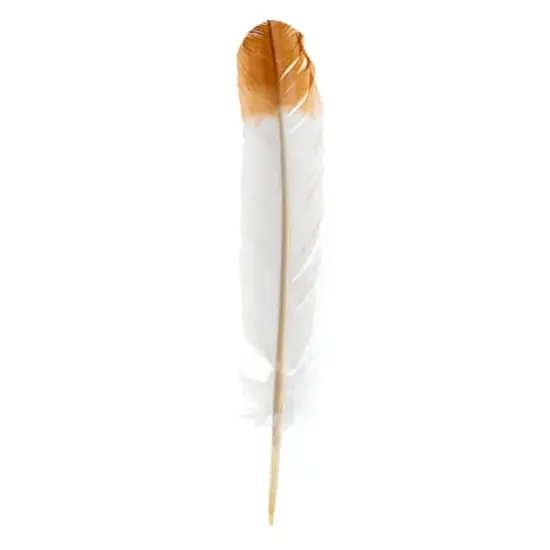 John Bead 12" White & Brown Imitation Eagle Feathers, 18ct. {1}
