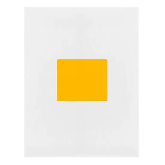 JAM Paper Adhesive Shipping Labels, 3.33" x 4" Neon Orange {7}