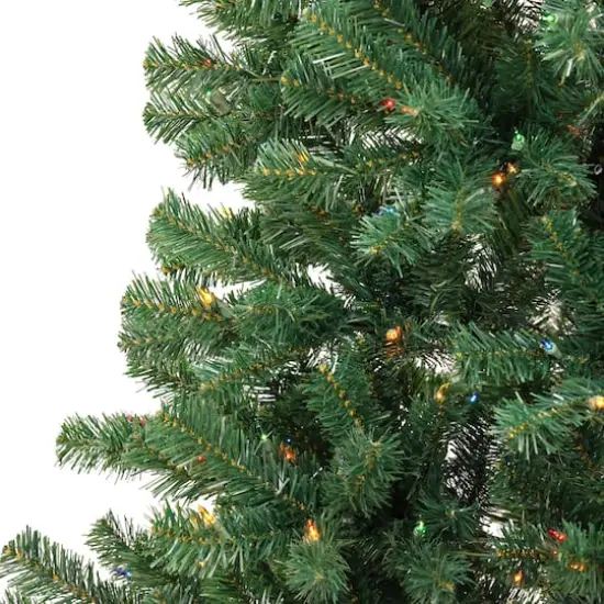 6ft. Pre-Lit Acacia Artificial Christmas Tree, Multicolor Lights {5}