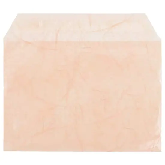 JAM Paper 5.063" x 7.188" Cello Sleeves with Self Adhesive Closures, 100ct. Mauve Fiber {5}