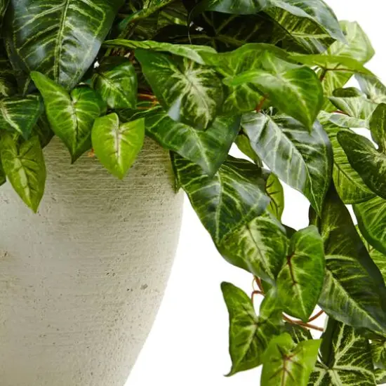 2ft. Nephthytis Artificial Plant in White Planter {4}