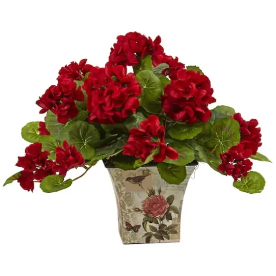 11" Geranium in Floral Planter, 2ct. {3}