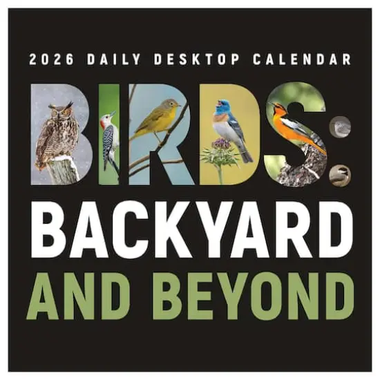 2026 Birds: Backyard & Beyond Daily Desktop Calendar {5}