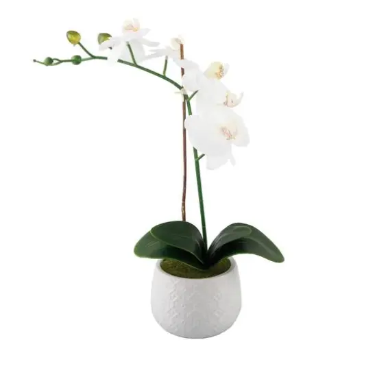 Flora Bunda&reg; 16" Real-Touch Orchid in Ceramic Pot {1}