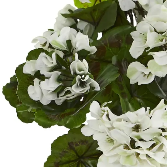 White Geranium Bush, 3ct. {4}