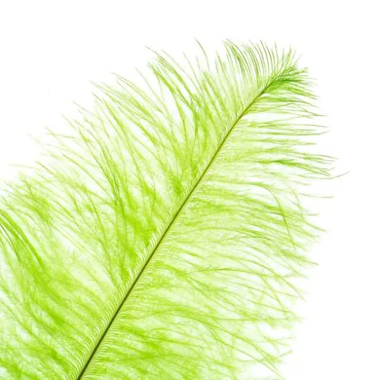 John Bead 11"-13" Ostrich Drab Feather Lime Green {3}