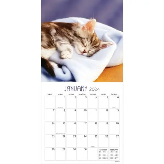 TF Publishing 2024 Cat Dreams Wall Calendar {4}