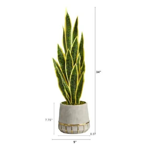 3ft. Snake Plant in Stoneware Planter with Gold Trim {1}