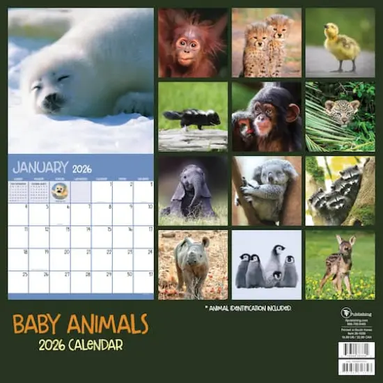 2026 Baby Animals Wall Calendar {6}