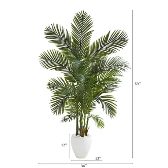 5.75ft. Areca Palm Tree in White Planter {3}