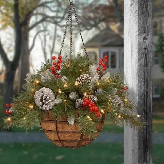 20" Pre-lit Frosted Berry Artificial Christmas Hanging Basket with Cones, Red Berries and Warm White LED Lights {3}