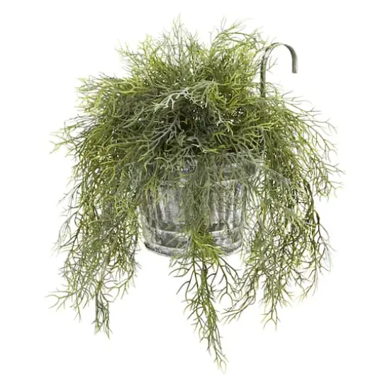 10" Spanish Moss in Vintage Hanging Metal Pail {1}