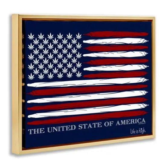 Stupell Industries Herb America Flag Floater Framed Art Gold {4}