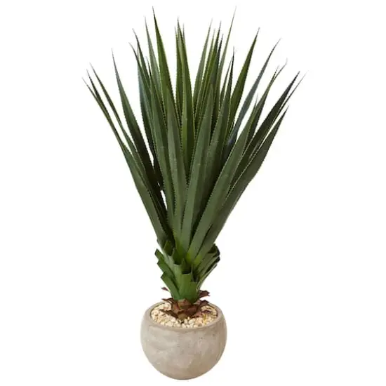 4.5ft. Spiked Agave in Sand Colored Bowl {1}