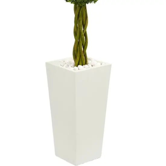 5ft. Double Ball Boxwood Topiary Tree in White Tower Planter {4}