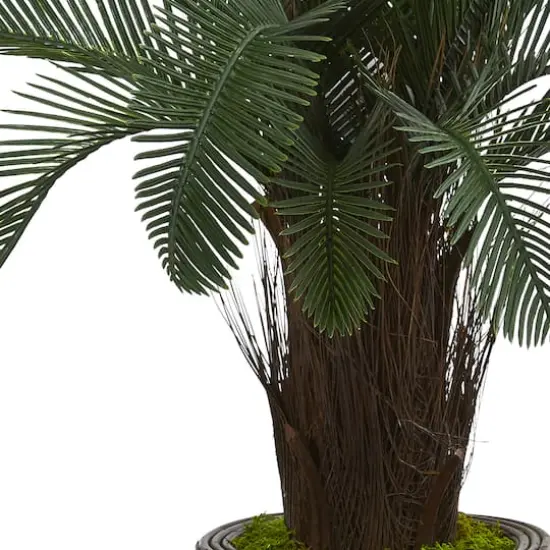 3.5ft. Cycas in Bamboo Planter {3}