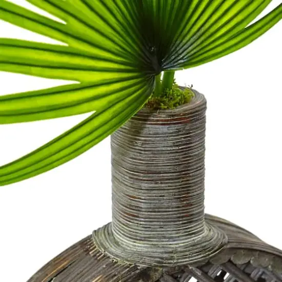 3.5ft. Fan Palm in Open Weave Vase {3}