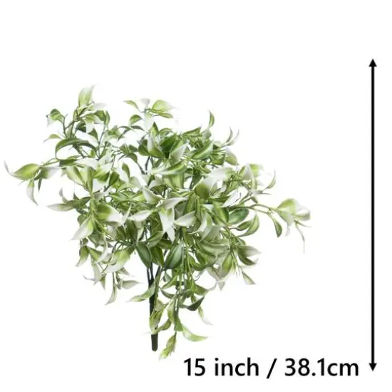 13" White Ruscus Bush by Ashland&reg; {4}