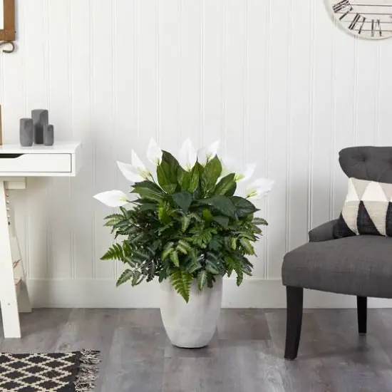 3ft. Mixed Peace Lily Plant in Decorative White Planter {4}