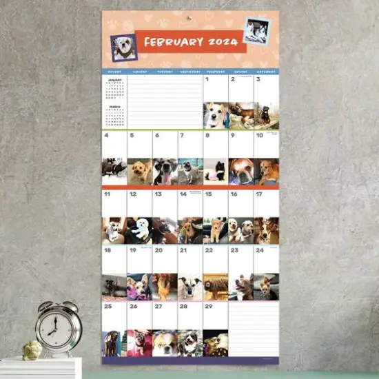 TF Publishing 2024 Dog-A-Day Wall Calendar {5}