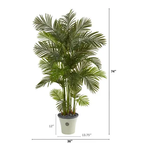 6ft. Areca Palm Tree in White Planter {3}