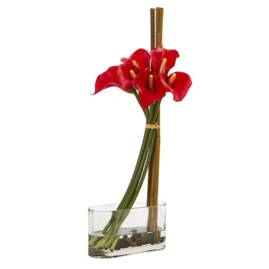 18" Calla Lily with Bamboo Arrangement Red {1}