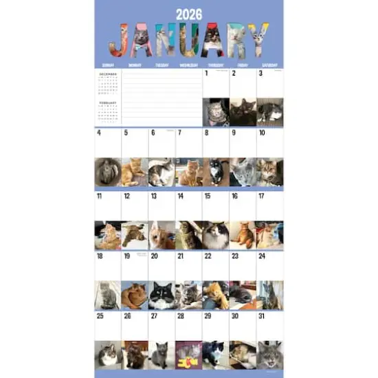 2026 Cat-A-Day Wall Calendar {3}