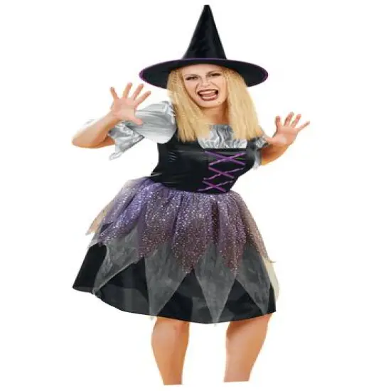 Medium Black & Purple Witch Women's Costume {1}