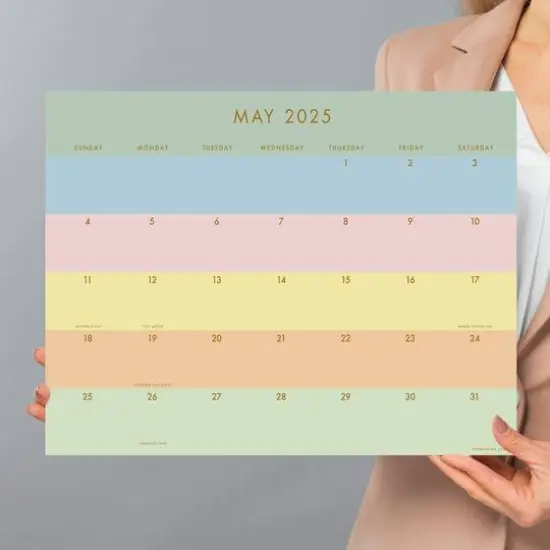 TF Publishing Medium 2025 Super Stripe Monthly Blotter Desk Pad Calendar {3}