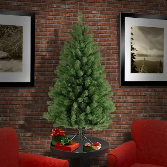 4ft. Unlit North Valley&reg; Spruce Artificial Christmas Tree {3}