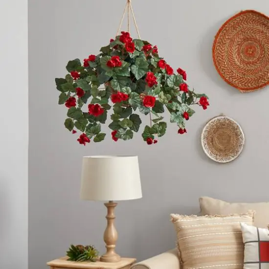 24" Red Begonia in Hanging Basket {6}