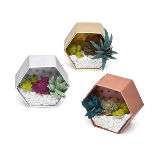 Craft Crush - Mini Terrariums Kit {6}