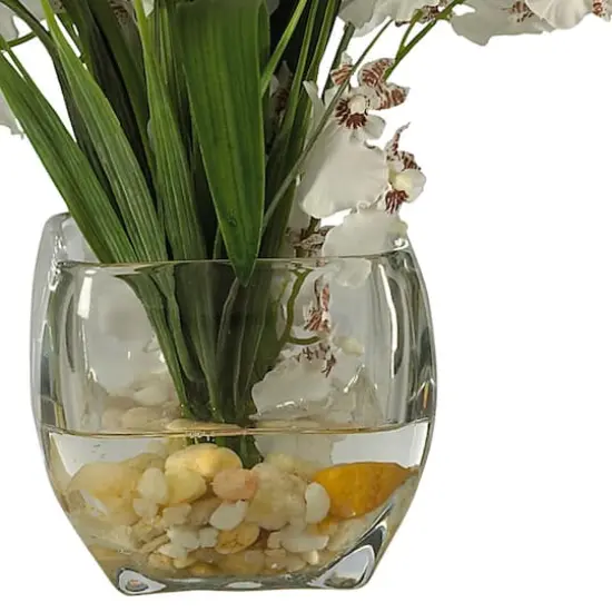 19" White Dancing Lady Orchid Arrangement in Vase {4}