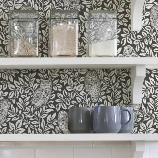 Wallpops Charcoal Sleepy Owls Peel & Stick Wallpaper {7}