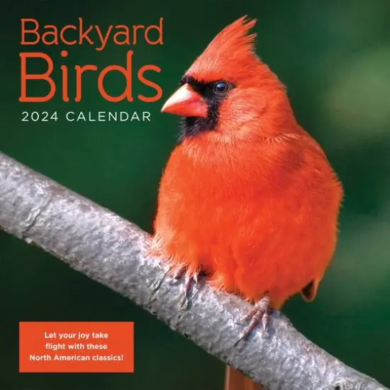 TF Publishing 2024 Backyard Birds Wall Calendar {1}