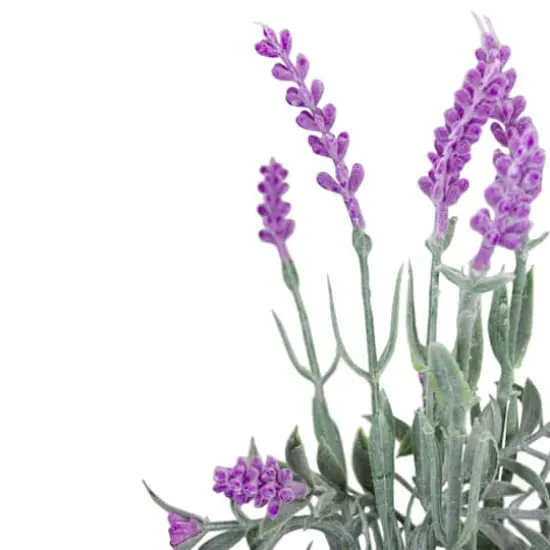 13'' Artificial Lavender Arrangement in Milk Bottle {6}